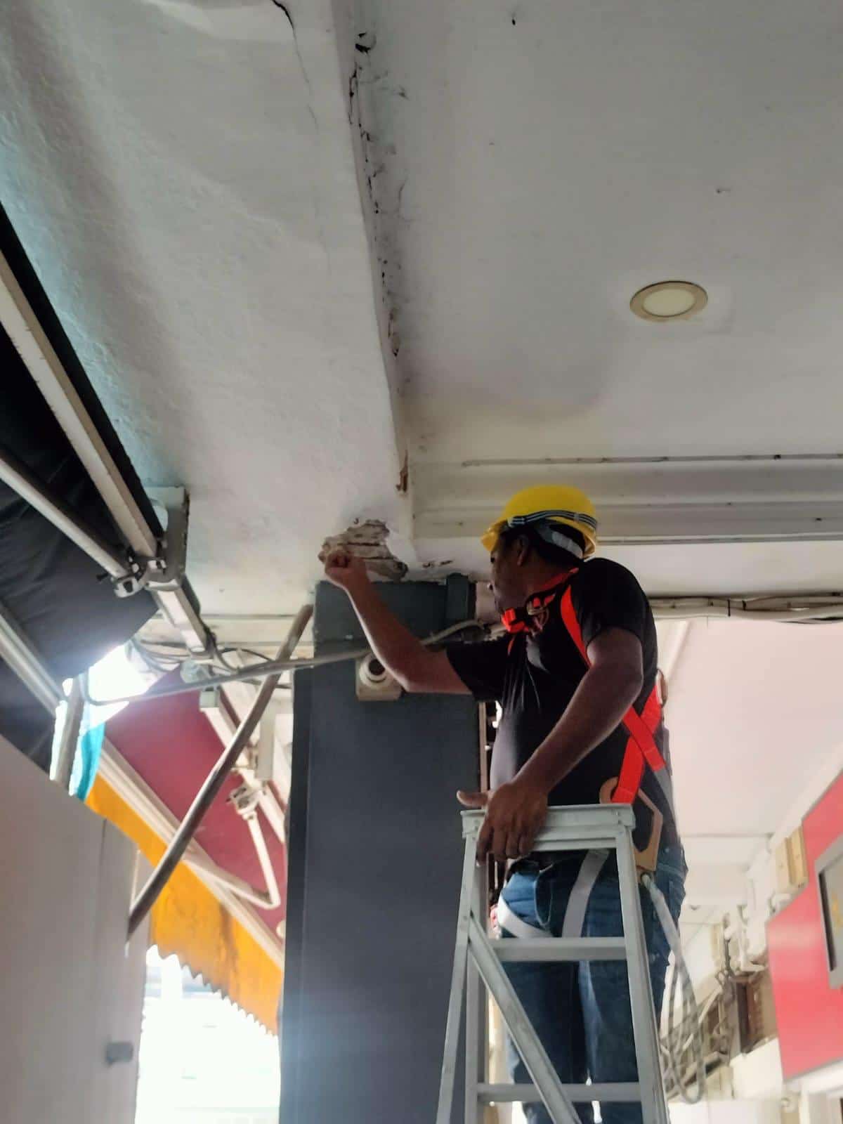 ADEX Singapore on-site project photo 20