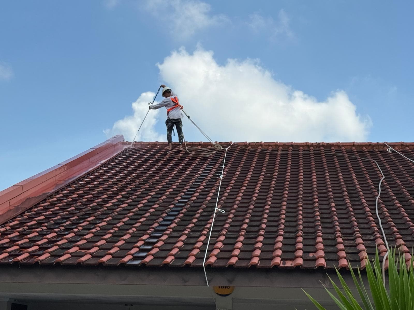 ADEX Singapore on-site project photo 113